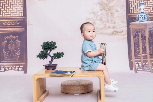 德宏可爱的企鹅宝宝